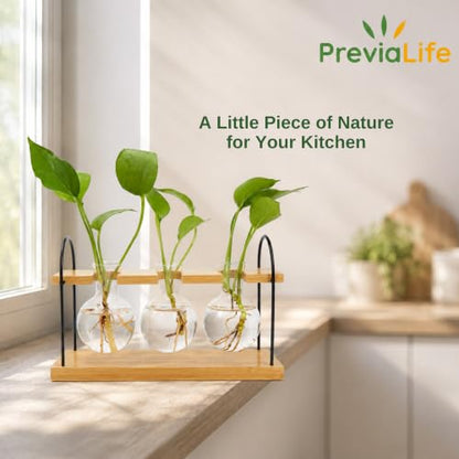 Plant Propagation Station with Bamboo Stand 3 Bulb Glass Vase Plant Terrarium, Hydroponic Planter for Desk & Office Decor, Gardening Gifts for Women Plant Lovers, Care Guide Included