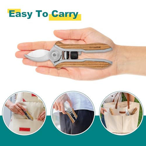 Berry&Bird Mini Pruning Shears for Gardening Curved Blades Hand Pruners with Wooden Handle Garden Scissors Snips Stainless Steel Trimming Small Clippers Bonsai Compact Size Sheaering Tool - style: 6.1'' Mini Curved Blade Scissors