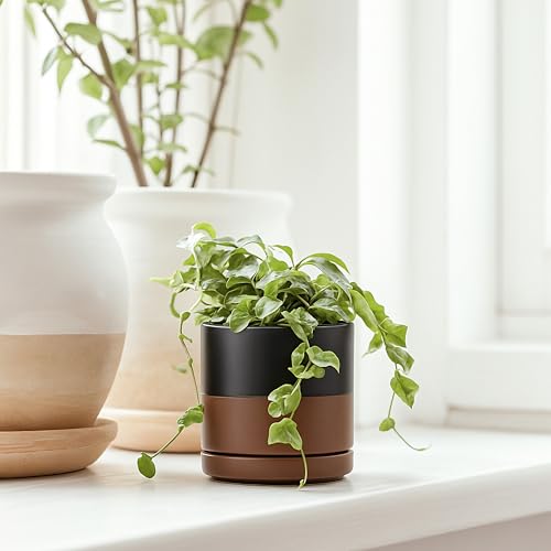 D'vine Dev 2-Pack Ceramic Pots with Saucers, Black/Tan, 3.5 in, 94-V-A-7 - color: Black/Speckled Tan, size: 3.5 Inch