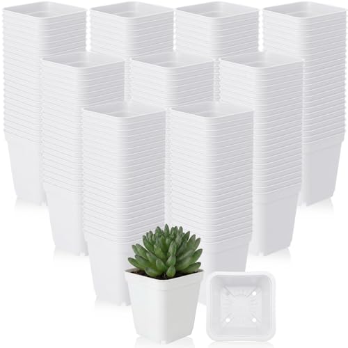 Yaomiao 200 Pack 3 Inch White Nursery Pot Square Flower Pots Plastic Plant Succulent Planter Seed Starting Pots with Drainage Holes for Garden Office Balcony Decor Indoor Outdoor Plant Seedling - color: White