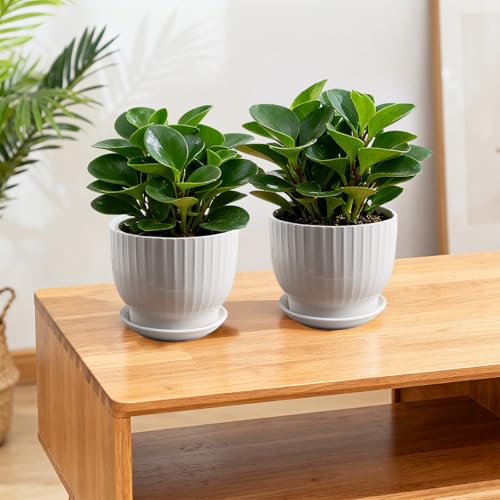 Ceramic Plant Pots, 6.7 Inch, Pure White, Set of 2 - color: Pure White, size: 6.7 Inch(2 PCS)