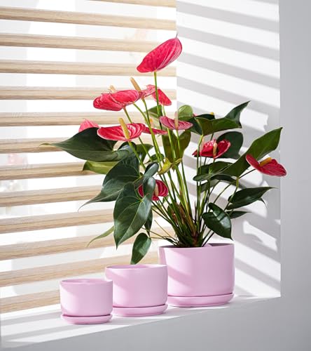 Plant Pots,Ceramic Planters with Drainage Holes&Saucer Set of 3(Matte Pink) - color: Matte Pink