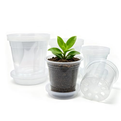 THTLTLGT 3.5/4/5/6 Inch Clear Nursery Pots with Drainage for Plants 20 PCS
