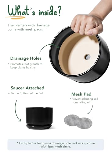 LE TAUCI Ceramic Pots for Plants, 4.3+5.3+6.8 Inch, Set of 3, Black - color: Black, size: 4.3"+5.3"+6.8"
