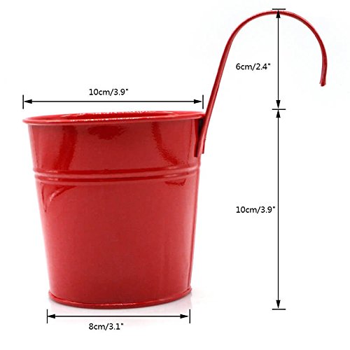 KINGLAKE Flower Pots,10 Pcs Metal Iron Hanging Flower Plant Pots Balcony Garden Plant Planter Baskets Fence Bucket Pot 4'' Flower Holders with Detachable Hook - color: Multicolor, size: 4 Inch