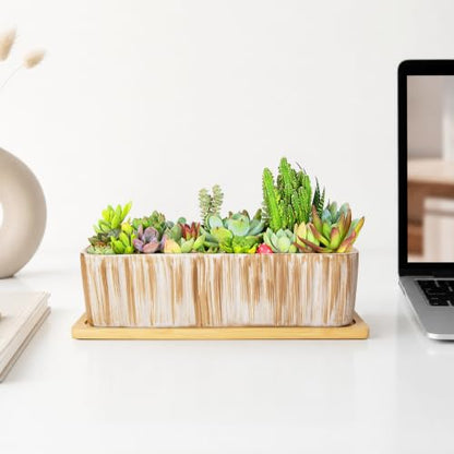 Succulent Pots, 12'' Long Rectangle Planters with Tray, Windowsill Planter - color: Wooden Pattern