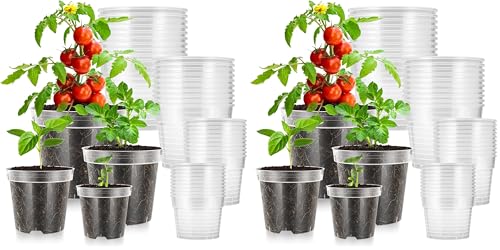 VIVOSUN 80 Packs 3/4/5/6 Inch Clear Nursery Pots with Drainage Holes, Reinforced Plastic Seedling Pots for Plants, Flowers, Cuttings, and Succulents, 40 pcs Plant Labels - size: 3/4/5/6 Inch (Pack of 2)