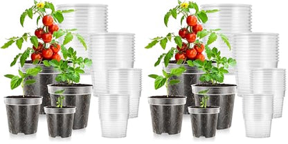 VIVOSUN 80 Packs 3/4/5/6 Inch Clear Nursery Pots with Drainage Holes, Reinforced Plastic Seedling Pots for Plants, Flowers, Cuttings, and Succulents, 40 pcs Plant Labels - size: 3/4/5/6 Inch (Pack of 2)
