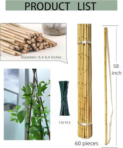 5 Ft Bamboo Stakes with 100 Twist Ties Natural Bamboo Garden Stakes for Dahlias Cucumber Grapes Pole Beans Trees Potted Dahlia Flowers and Climbing Plants - Pack of 60 - size: 58 INCH-60 PACK & Ties