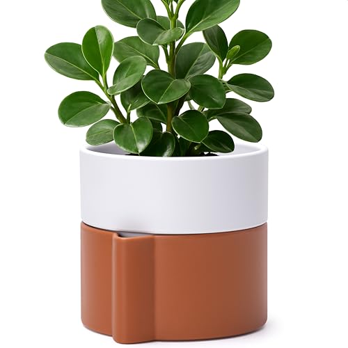 6.5 Inch Self-Watering Planter Pot with Terracotta Insert, Deep Water Reservoir, and Ceramic-Alike BPA-Free Plastic Pot for Plant, Modern Planter for Houseplants, Terracotta/White, 53-B-S-6 - color: Terracotta/White, size: 6.5 Inch