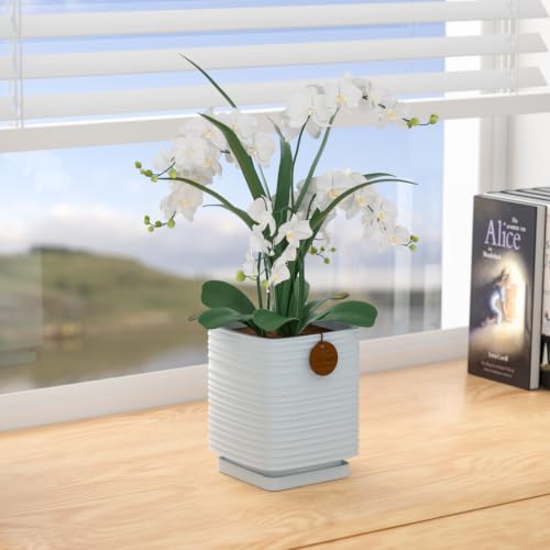 5.9 Inch Blue Ceramic Planter with Drainage and Saucer - color: Light Blue, size: Medium