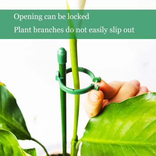Belit 8 Pack Small Plant Support Plant Stakes, Adjustable Garden Single Stem Support Stake, Planter Support Ring for Orchid, Rose, Peony, Peppers and More, 12 inch - size: 11.8 Inch