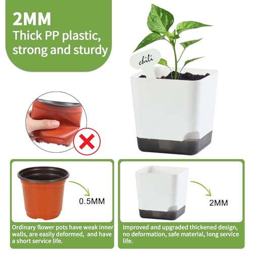 Oliz 3" Small Succulent Pots, 20pk Plastic Planters w/Drainage & Saucers - size: Mini White Pots 20 Pack