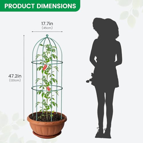 SUNYRISY 3 Pack Metal Plant Support Cage for Tomato Peony Cucumber - size: 47.2 x 17.7 in