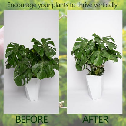 5PCS 10 * 9.3In Monstera Plant Support Stem-Ideal for Indoor Plants - size: 11x9.4inches