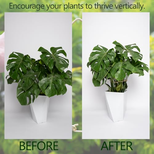5PCS 10 * 9.3In Monstera Plant Support Stem-Ideal for Indoor Plants - size: 11x9.4inches