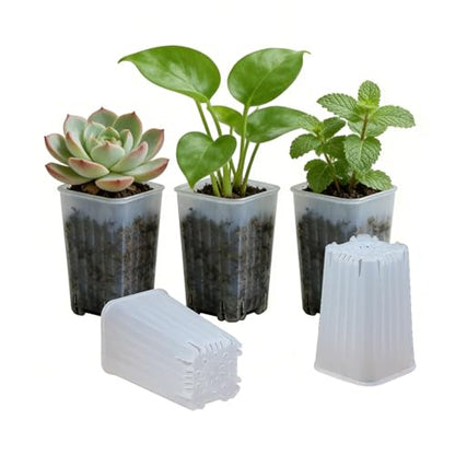 50 Pack 2'' Square Clear Nursery Pots, Mini Transparent Planter - size: 2 Inch