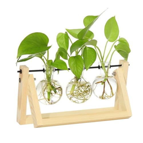 Plant Propagation Station, Hydroponics Glass Vase with Retro Burnt Wooden Stand, 3 Bulbs Terrarium Desktop Plant Holder for Home Office Garden Decor, Unique Gardening Presents for Women Garden Lovers - color: Beige
