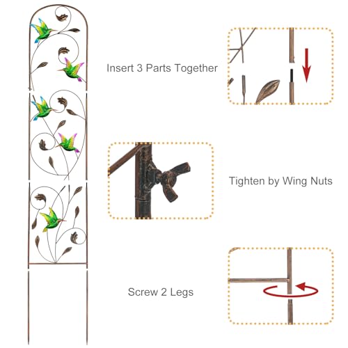2 Pack Metal Garden Trellis for Climbing Plants - style: Hummingbird