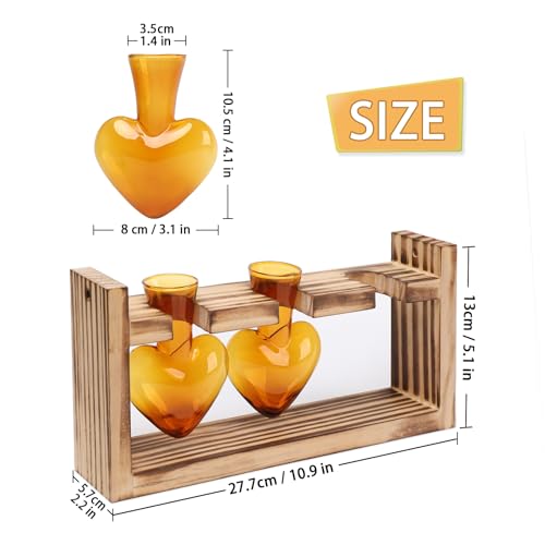 Plant Terrarium Propagation Stations Hydroponics - color: Amber