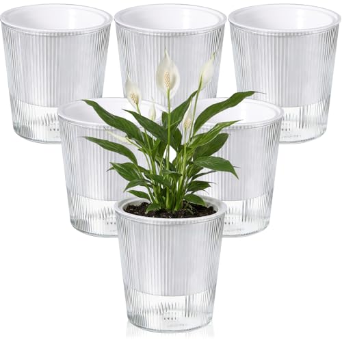 6 Pack Self Watering Pots for Indoor Plants Plastic Vertical Ribbed Semi Transparent Planters, Dual Layer Reservoir for Indoor Succulents Herbs Pothos(Clear, White,4.4 x 4.9 Inch) - color: Clear, White, size: 4.4 x 4.9 Inch