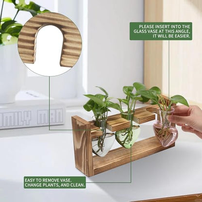 Plant Terrarium Propagation Stations Hydroponics - color: Color 2