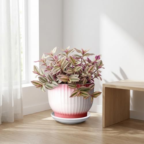 8 Inch Ceramic Plant Pot, Pink + White - color: Pink + White, size: 8 Inch(1 PCS)