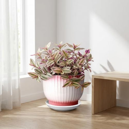 8 Inch Ceramic Plant Pot, Pink + White - color: Pink + White, size: 8 Inch(1 PCS)