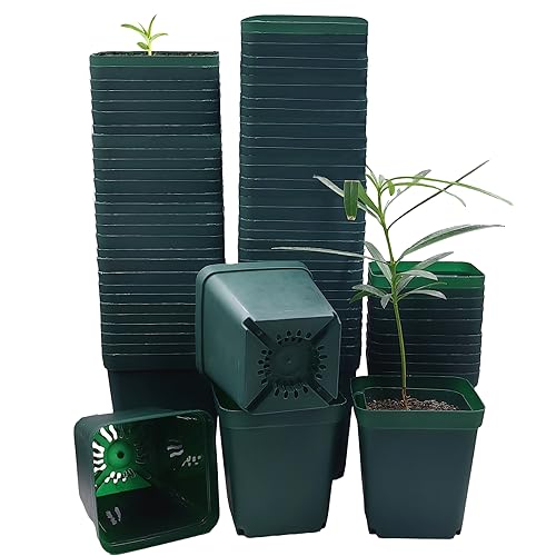 RooTrimmer Square Nursery Seedling Pot 3.5 Inches 90 Pcs, Small Nursery Pot Plastic Thick and Sturdy Seed Start Germination Pot for Plant Propagation and Seeding(Green,3.54 Inches, 90Pcs) - color: Green, size: 3.5 Inch - 90pk
