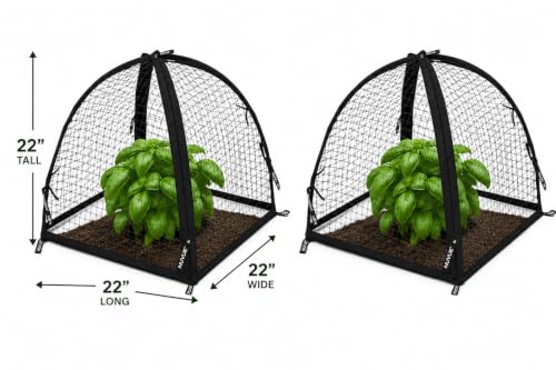 NuVue Products 32100 Pop-Up Garden Netting Pest Guard Covers with Ground Spikes, Mesh Plant Cover Tents for Pest and Animal Control, Pack of 2, Black, 22" x 22" x 22" - color: Black, size: 22" x 22" x 22"