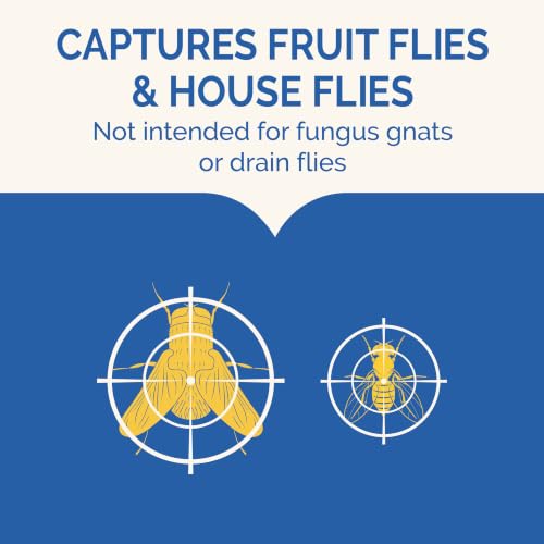 Hot Shot Flying Insect Trap, Discreet, Hassle-Free Attracts, Captures House and Fruit Flies, 24/7 Continuous Attraction, No Plug-in or Electricity Needed, 6 Count 984ml Each, 0.2 Kilograms