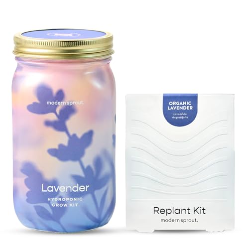 Modern Sprout MasonJar+Replant Kit-Self-Watering Hydroponic System-Lavender - color: Lavender, size: Garden Jar + Replant Kit