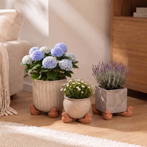LemonRoad 12 Set Bird Pot Feet for Outdoor Planters, Terra Cotta Cement - size: Bird
