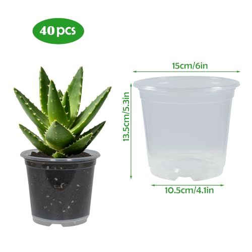 40 Pack 6 Inch Clear Nursery Pots with Drainage Half Gallon Plant Pots for Plants 0.5 Gallon Transparent Potting Containers for Plants Seeding Starter Pot (Clear, 6 Inch 40 Pcs) - color: Clear, size: Clear, 6 Inch 40 Pcs