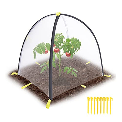 PURPLE STAR 1N 28 x28 x 33 Inch Insect Barrier Plant Tent Cover-Pest Guard Cover-Bird Barrier Netting Mesh with Stakes for Protect Plants Fruits Flower from Insect Bird Eating (1, M) - color: M