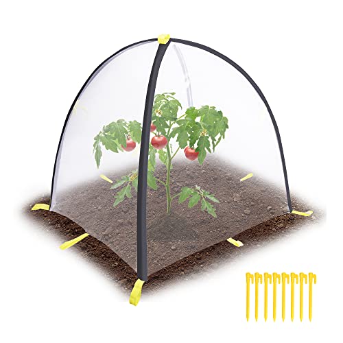 PURPLE STAR 1N 28 x28 x 33 Inch Insect Barrier Plant Tent Cover-Pest Guard Cover-Bird Barrier Netting Mesh with Stakes for Protect Plants Fruits Flower from Insect Bird Eating (1, M) - color: M