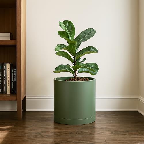 D'vine Dev Plastic Planter Pot with Saucer, 10 in, Olive, 74-X-I-2 - color: Olive, size: 10 Inch