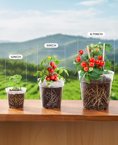 homenote 4/5/6.7 Inch Transparent Nursery Pots with Drainage Holes (30 Pcs) - color: Transparency-no Lid, size: 4/5/6.7 Inch-30 Pack