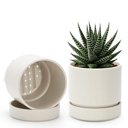 Phoenix Vine 4 Inch Planter Pot with Drainage Hole & Saucer, Deep Water Catch Tray, Straight Cylindrical Round Pot for Plants, Oatmeal, Pack of 2, 23-E-R-2 - color: Oatmeal, size: 4" (2 Pack)