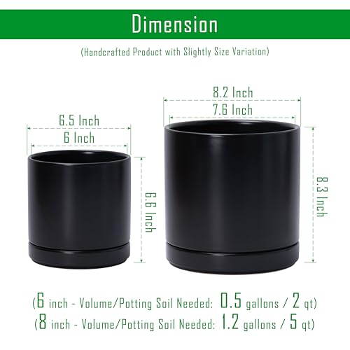 D'vine Dev 2-Pack Ceramic Pots with Saucers, 6/8 in, Black, 94-G-M-2 - color: Black, size: Medium