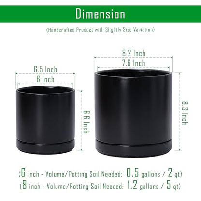 D'vine Dev 2-Pack Ceramic Pots with Saucers, 6/8 in, Black, 94-G-M-2 - color: Black, size: Medium
