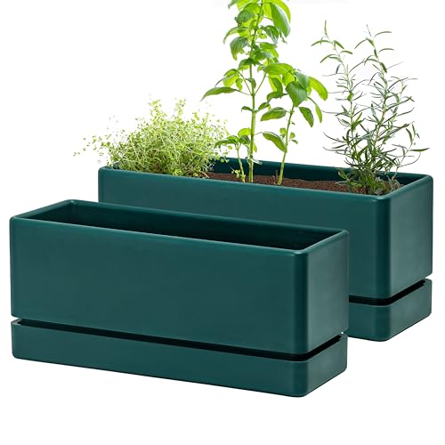 D'vine Dev 2-Pack Rectangular Planters, 12 x 4.5 in, Green, 76-X-C-2 - color: Green