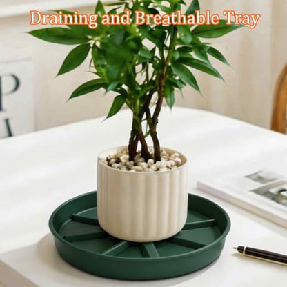 2Pcs 6 Inch Plant Saucer Drip Tray, Clear Plastic Flower Pot Saucers, Thicker Anti-Rot Root Water Catcher Tray for Indoor Outdoor Planters, Heavy Sturdy Pot Base Plate Green - color: Green