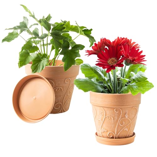 Melphoe Plant Pots Indoor with Drainage & Saucer, 2Pack 8 inch Flower Pots Outdoor Planters for Indoor Plants Garden Home Decor Cactus Succulent, Rigid Plastic (Imitation-Terracotta) Vine-Embossed - color: Terracotta Color, size: 8 inch