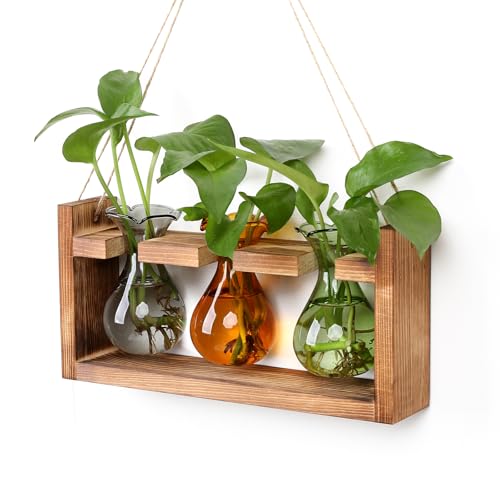 Plant Propagation Station Plant Terrarium Unique Birthday Gifts for Women - color: Color04