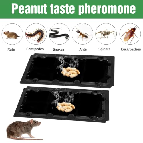20 Pack Glue Sticky Mouse Trap Rat Traps Indoor for Home Rats, Snake - size: 20Pack