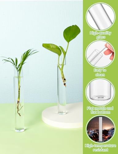 16 Tube Glass Plant Propagation Stations Clear Glass Test Tubes - color: Clear 16 Pcs