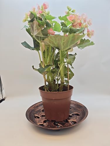 4 Pack Heavy Duty Antique Bronze Plant Saucer Sturdy Pot Tray Plant Drip Trays Drip Trays for pots,Plant Water Catcher Tray,Flower Pot Saucer Water Drainage Tray Floor Protector (10 INCH) - size: 4PK 10 inch Bronze