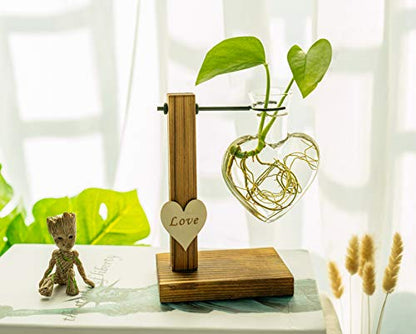 Kingbuy Hydroponic Glass Vase Vintage Desktop Plant Terrarium Planter Bulb Vase Water Planting Propagation Vase Planters Hydroponics Plants with Retro Wooden Stand Home Garden. (D(1 Heart Vase)) - size: Heart （1 Bulb Vase）