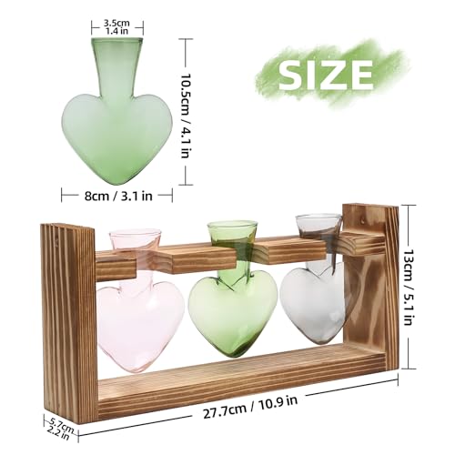Plant Terrarium Propagation Stations Hydroponics - color: Color 2